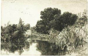 Shere Mill Pond, Nr. II (große Platte) von Francis Seymour Haden