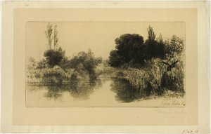 Shere Mill Teich, Nr. II (große Platte)