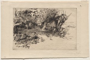 Die Weiden