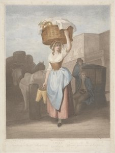Erdbeeren, süße Erdbeeren, graviert von Giovanni Vendramini (1769-1839) 1795