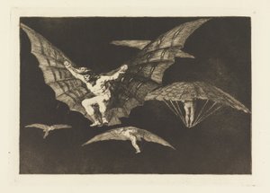 Art des Fliegens, Platte 13 in Sprichwörter