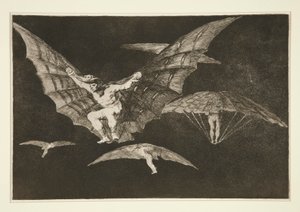 Modo de volar (Eine Art zu fliegen), pl. 13 aus der Serie Los proverbios