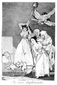 Da gehen sie, gerupft, 1799