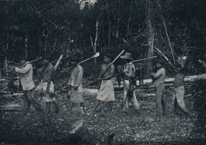 Indios Guaranys, Rückkehr von einer Jagd, 1895 von Francisco Henszler