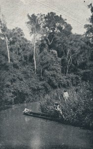 Rio de S. Anastacio, 1895 von Francisco Henszler