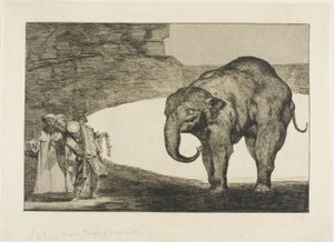 Tierische Torheit, aus Disparates von Francisco Jose de Goya y Lucientes