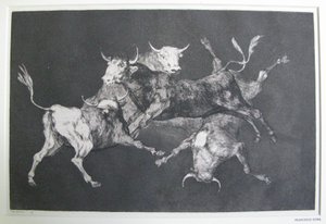 Disparate de tontos von Francisco Jose de Goya y Lucientes