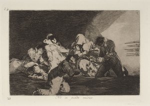 Man kann es nicht ansehen von Francisco Jose de Goya y Lucientes