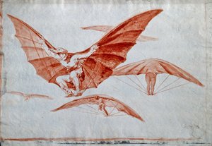 Wege des Fliegens