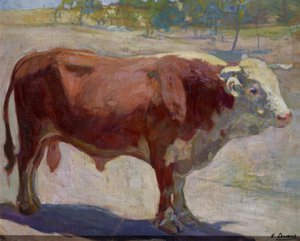 Der braune Stier