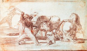 Stierkampf: Die Mauren, die in Spanien lebten, ignorierten die Aberglauben des Korans und übernahmen diese Kunst der Jagd, indem sie Speere in die Luft warfen