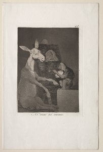 Caprichos: Weder mehr noch weniger von Francisco de Goya