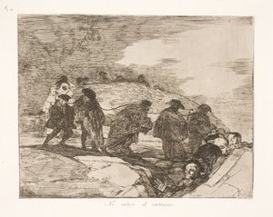 Sie wissen nicht wohin (70) von Francisco de Goya