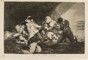 Es ist nicht zu sehen (26) von Francisco de Goya