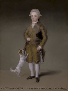 Don Vicente Isabel Osorio de Moscoso y Álvarez de Toledo, Conde de Trastámara, ca. 1787-88 von Francisco de Goya