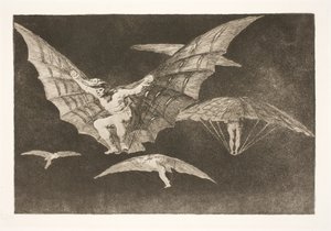 Eine Art zu fliegen (Wo ein Wille ist, ist auch ein Weg)