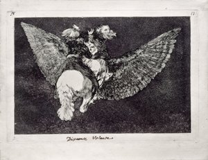 Fliegende Torheit aus der Serie Los Disparates Follies, 1815-1819
