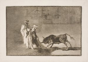 Die Mauren in der Arena bemühen sich, den Stier mit Hilfe ihrer Burnus anzulocken