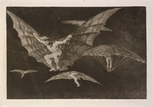 Eine Art zu fliegen