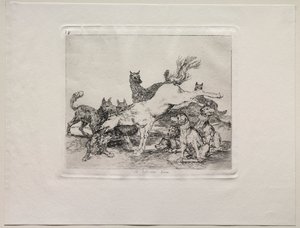 Die Schrecken des Krieges: Er verteidigt sich gut von Francisco de Goya