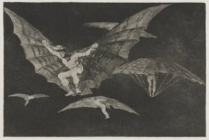 Die Sprichwörter: Eine Art zu fliegen