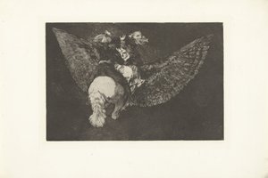 Fliegende Torheit
