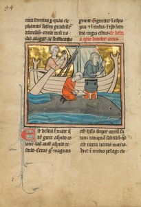 Ein Fischer auf dem Rücken eines Wals, 1277 oder später