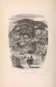 Der Jardin des Plantes, Beschreibungen und Sitten der Säugetiere