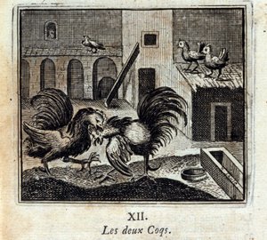 Beide Hähne. Fabeln von Jean de La Fontaine (1621-95). Illustration von François Chauveau (1613-1676). Ausgabe von 1728. von Francois Chauveau