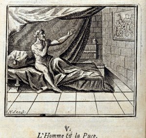 Der Mann und der Floh. Fabeln von Jean de La Fontaine. Illustration von François Chauveau. Ausgabe von 1728. von Francois Chauveau