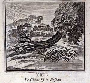 Die Eiche und das Schilfrohr. Fabeln von Jean de La Fontaine. Illustration von François Chauveau. Ausgabe von 1728.