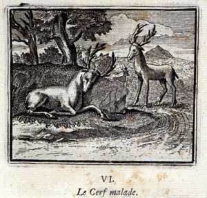 Der kranke Hirsch. Fabeln von Jean de La Fontaine. Illustration von François Chauveau. Ausgabe von 1728.