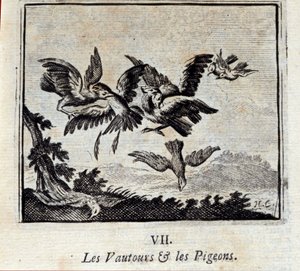 Geier und Tauben. Fabeln von Jean de La Fontaine. Illustration von François Chauveau. Ausgabe von 1728