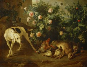 Hund bewacht Wild neben einem Rosenbusch