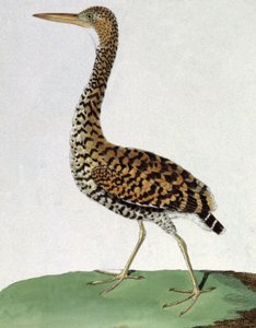 Ehre von Francois Nicolas Martinet