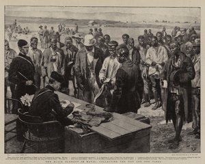Das schwarze Element in Natal, das Hütten- und Hundesteuern sammelt