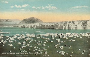 Muir-Gletscher, Glacier Bay, Alaska, USA