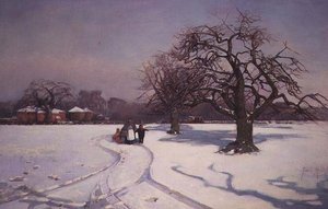 Ein sonniger Winterlandschaft