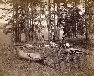 Elchjäger, Yellowstone, ca. 1880 von Frank Jay Haynes