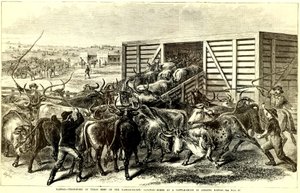 Viehtrichter in Abilene, Kansas von Frank Leslie