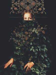 Geduld II von Frank Moth