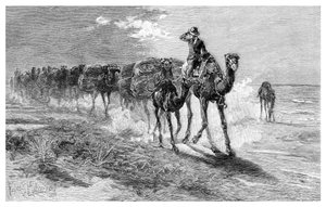 Kamele tragen Wolle, 1886