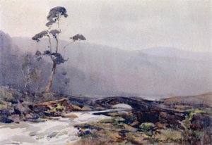 Ein Moorbach (Farblithografie)