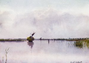 Norfolk Broads: Heuboot auf Hickling Broad