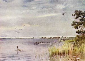 Norfolk Broads: Horsey Mere
