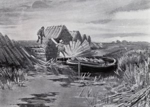 Norfolk Broads: Schilf stapeln von Frank Southgate