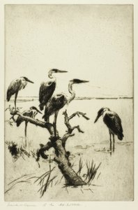 Ruhende Reiher von Frank Weston Benson