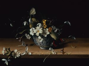 Blumen in einer blau-weißen chinesischen Porzellanschale mit einem Admiral-Schmetterling auf einer Holzleiste