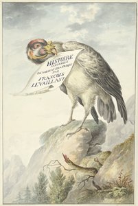 Bartgeier mit einem Blatt Papier im Schnabel