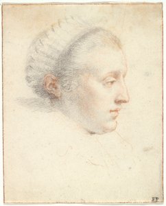 Profilporträt einer Dame von Frans II Pourbus
